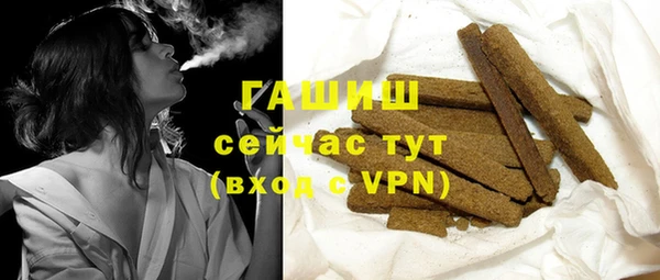 сатива Няндома