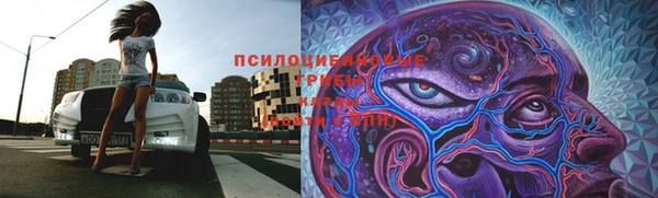 MDMA Premium VHQ Новозыбков