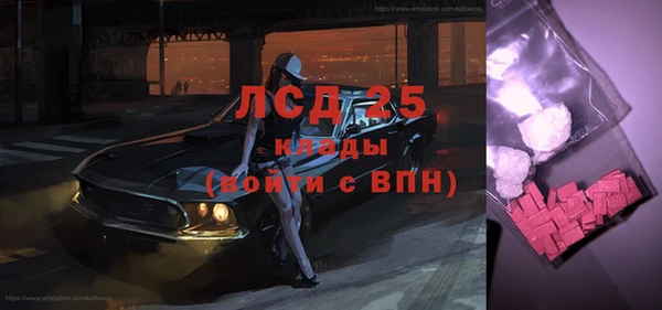 сатива Няндома