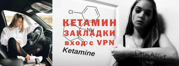 сатива Няндома