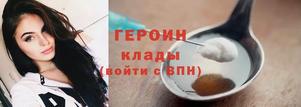 сатива Няндома