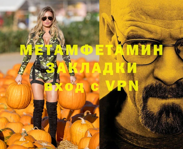 сатива Няндома